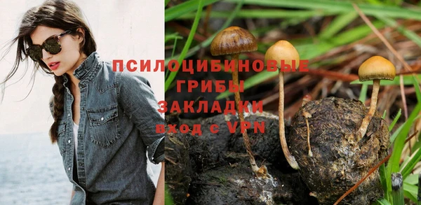 бутират Арсеньев