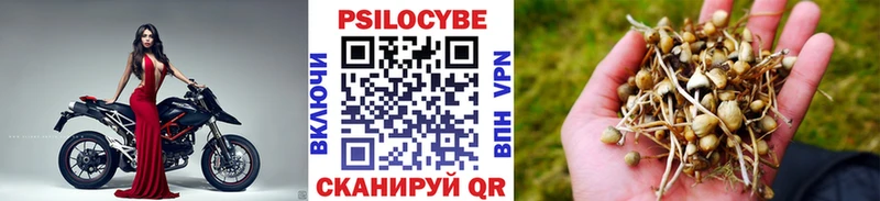 Галлюциногенные грибы MAGIC MUSHROOMS  кракен ссылки  Каменск-Шахтинский 